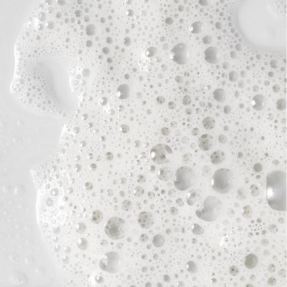 Little VIP Kid's Pack 