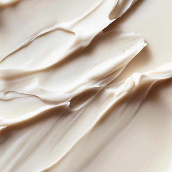 Men's Cut - Maintenance Package